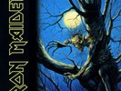 Iron Maiden - Fear of the Dark (2-LP Set, 180-Gram Vinyl)