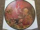 MARILLION - ACOUSTIC CONCERT, 1991 PICTURE DISC LIVE LP, OOP,