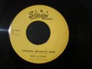 HARLIN AND STANLEY CAROLINA MOUNTAIN HOME 45 WHAT CAN I DO STARDAY 308 RECORD