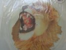 White Lion Radar Love (A8836TEP) UK LIMITED EDITION SHAPED PICTURE DISC