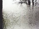Bon Iver From Emma Forever Ago 12