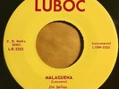 * JIM SOLLEY Malaguena EXOTICA MOD TITTYSHAKER TEXAS ROCKABILLY Luboc 45 HEAR