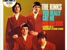 The Kinks - You Really Got Me (Live) - 7