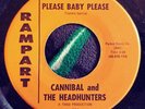 Rare Chicano Soul Cannibal and the Headhunters Please Baby Please  45 RPM