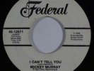 Funk 45 MICKEY MURRAY I Cant Tell You/Aint Nothing We Can Do About It on Federal