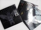 SOUNDGARDEN: Echo of Miles   Scattered Tracks   6 Picture Disc Vinyl LP Box Set