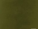 Kendrick  Lamar - Untitled Unmastered.(LP) - (Vinyl) mit original Autogramm