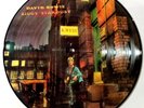 David Bowie The Rise and Fall of Ziggy Stardust & the Spiders from Mars PIC DISC