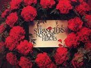 STRANGLERS 