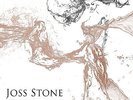 JOSS STONE,Water For Your Soul 180 GR 2LP SET VINYL ALBUM DOWNLOAD SEALED
