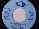 ICE-T: Coldest Rap / Cold Wind-madness 45 Rap/Hip-Hop