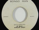 Horace Andy 