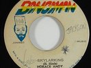 Horace Andy 