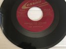 The Martells - Forgotten Spring/Va Va Voom * Cessna Doo Wop 45 NM Rare