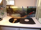 SPRING SPRING RCA NEON UK ORIG LP PROG MONSTER  PENNY START NO RESERVE RARE