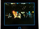 NEW RACE The First And The Last  AUSTRALIAN LP Rock Punk Indie RADIO BIRDMAN