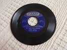 JERRY LANDIS (PAUL SIMON)  THE LONE TEEN RANGER/LISA  AMY 875