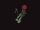 ALEXANDRA SAVIOR Belladonna of Sadness LP Vinyl NEW PRE ORDER 07/04/17