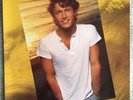 Andy Gibb Bee Gees-Greatest Hits 12