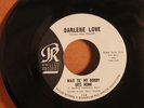 DARLENE LOVE---WAIT TIL MY BOBBY GETS HOME   (Female 45's)