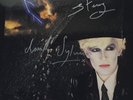 Japan Gentleman Take Polaroids Signed By David Sylvian And Steve Jansen Genuine