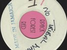 JAH LLOYD  - No Tribal War  -  JA Blank -   Reggae   7