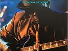 John Lee Hooker - Boom Boom LP UK 1992  Virgin Pointblank  VPBLP 12