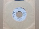 Denny Ezba & The BFBA I Want To Love You rare 1967 US Jox white label promo 45