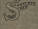 Steeleye Span vinyl LP album record Please To See The King - 2nd - EX UK