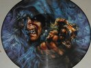 WARLOCK - TRIUMPH AND AGONY - PICTURE DISC - DE 87