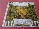 JEFFERSON AIRPLANE: Have You Seen Saucers? / MEXICO 45 PSYCH RCA USA