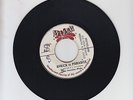 SPLASH/ AFRICA IS PARADISE  -  THE CONSCIOUS MINDS  (71 REGGAE ROOTS 7