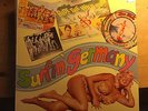 LP. VA. Bear Family Surfin`Germany BFX 15250