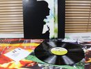 *PAUL WELLER: WILD WOOD* 1st Pressing LP *INDIE / BRIT POP / THE JAM / OASIS*