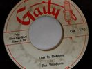 THE WISDOMS lost in dreams / two hearts 45 GAITY --- RARE MN doo wop --- HEAR