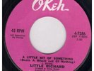 LITTLE RICHARD A Little Bit Of Something 7