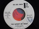 BIG DEE IRWIN  you satisfy my needs PROMO