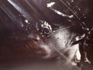 Prince Minneapolis 1987 The Regent of First Avenue Minneapolis recording 10 song