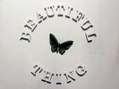 The Stone Roses Beautiful Thing Mint Sealed 12