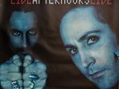 AFTERHOURS poster manifesto 100 X 70 CM LIVE Tour 1999 VELVET RARO