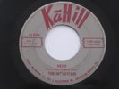 INFINITIVES Heidi / Thousand Tears KaHill Chicago Garage RARE 45 HEAR