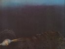Light Of Darkness NEAR MINT Second Battle Vinyl LP