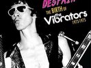 The VIBRATORS The Birth of the Vibrators 1973-1975 Vinyl Punk Whips n Furs