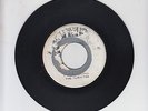 OLYMPIC/ PUSH IT UP  -  THE TERMITES  (68 ROCKSTEADY  7