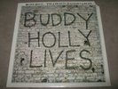 BUDDY HOLLY/CRICKETS 20 Golden Greats RARE SEALED SS New Vinyl LP 1980 MCA-3040