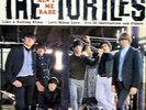 Turtles - It ain't me babe (USA 1965)