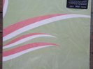 STARS OF THE LID AND THEIR REFINEMENT OF THE DECLINE VINYL LP3 KRANK 100 2007