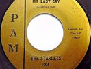 THE STARLETS doowop to soul transition PAM 45 My Last Cry / Money Hungry  mg1359