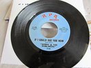 Northern Soul: Sunny & The Sunliners - If I Could See You Now/Should I Take You