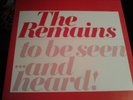 The Remains Diddy wah diddy red vinyl w/picture sleeve rocker    7